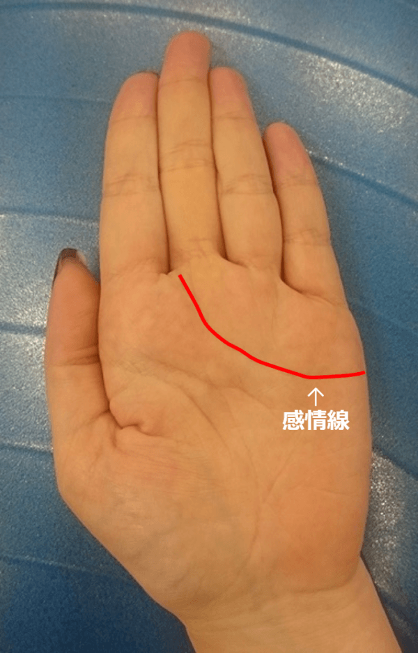 現代の髪型 ロイヤリティフリー異性 に モテ る 手相