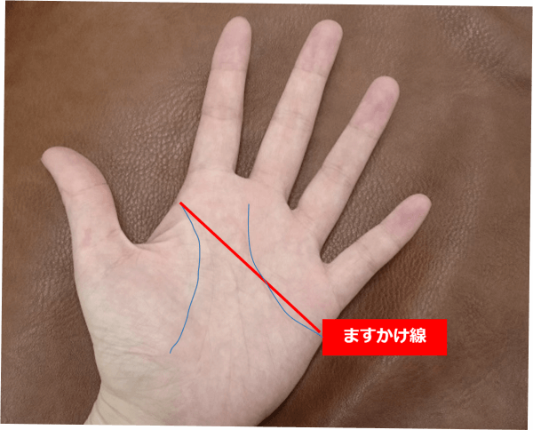 手相診断】この線があったらめっちゃラッキー! 超幸運な手相6選